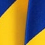 yellow and royal blue