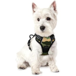 rabbitgoo Dog Harness No Pull with 2 Leash Clips, Adjustable Soft Padded, Reflective Oxford No Choke Pet Vest with Easy  Green Mountain,XS - 1 of 1