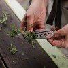 Barebones Herb Harvest and Strip Tool - 4 of 4
