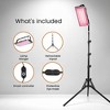 HOM Red Light Therapy Lamp with Stand for Face & Body - Portable Near-Infrared Sauna for Muscle Recovery, Healthy Skin & Pain Relief - 2 of 4