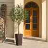 DR.Planzen 5-8FT Adjustable Artificial Olive Tree - UV Resistant Fake Plant in 15.7-22.7" Tall Planter (B/W/Coffee) for Indoor/Outdoor - 2 of 4