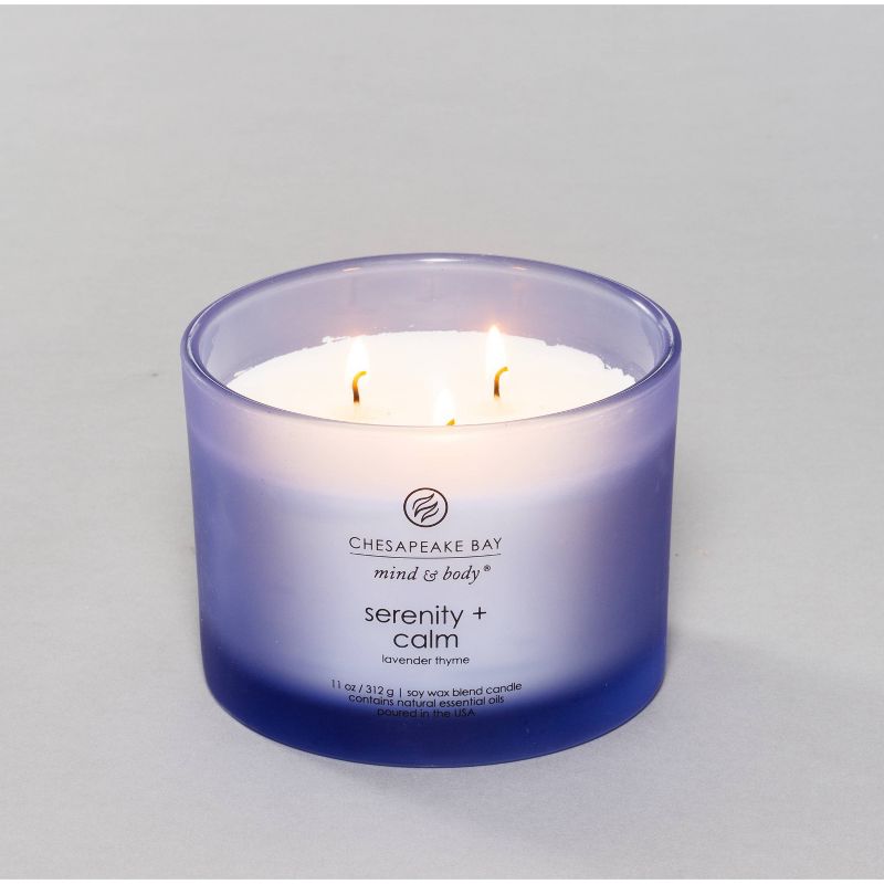 Jar Candle Serenity and Calm - Chesapeake Bay Candle, 4 of 12
