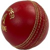 Amber Fight Gear Handmade Professional-Grade Leather Cricket Ball: Durable Excellence Tailored for High-Scoring League Matches, Set of 3 - 3 of 4