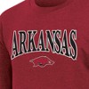 NCAA Arkansas Razorbacks Men's Crew Neck Fleece Sweatshirt - 3 of 3