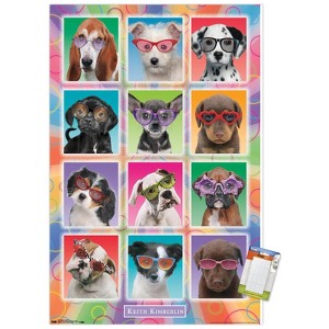 Trends International Keith Kimberlin - Puppies - Sunglasses Unframed Wall Poster Prints - 1 of 4