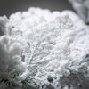 21"H Sullivans Artificial Snowy Cedar Christmas Wreath, Green-White, Indoor Christmas Decor - 2 of 4