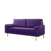 65'' Velvet Minimalist Loveseat Sofa with Metal Legs, Includes Cushions, Suitable for Living Room or Bedroom - 2 of 4