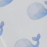 whale white, light blue