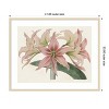 Amanti Art Amaryllis Varietals I by Bette Ridgeway Wood Framed Wall Art Print - 4 of 4