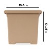 HC Companies 13.25 x 15.5 Inch Indoor/Outdoor Square Accent Planter for Flowers, Vegetables, and Succulents, Sandstone Tan (3 Pack) - 3 of 4