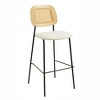 TOV Furniture Anais Rattan Counter Stool - Set of 2 in Natural - 3 of 4