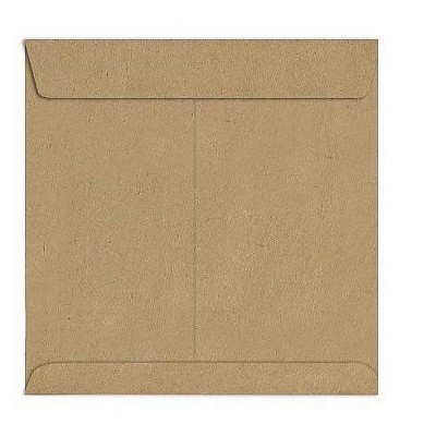 LUX 8 x 8 Square Envelopes 2 11/16 x 3 11/16 Grocery Bag 8565-GB-50