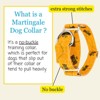 Country Brook Petz HossFit Jr Wide Martingale Dog Collar - Summer Breeze Collection - 3 of 4