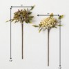 Sullivans Artificial Neutral Berry Stem Set of 2, 14" Brown - 3 of 3