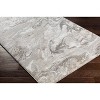 Hauteloom Cotterwood Gray Marble Rug - 4 of 4