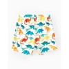 PATPAT Family Matching Multicolor Dinosaur Print Swim Trunks Shorts and Ruffle Two-Piece Swimsuit - 4 of 4