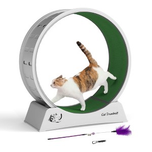 Sandinrayli Cat Wheel for Indoor Cats Exercise Running Wheel Cat Treadmill with Brake & Carpeted Runway - 1 of 4