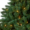Nearly Natural 8-ft Northern Rocky Spruce Artificial Christmas Tree with 500 Clear Lights and 1948 Bendable Branches - 3 of 4