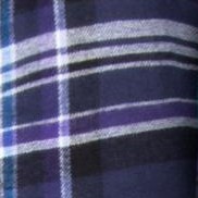 navy light jade plaid