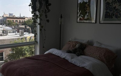 Guest review image 2 of 2, zoom in