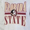 NCAA Florida State Seminoles Unisex Ash Crew Fleece Sweatshirt - 3 of 3