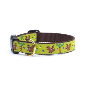 Up Country Nuts Dog Collar - Small - 1 of 3