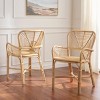Rimma Rattan Arm Chair - ACH6701 - Natural - Safavieh - 4 of 4