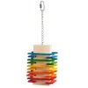 Prevue Pet Products 60956 Bodacious Bites Deco Bird Toy, Multicolor - 2 of 2