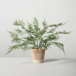 18.5" x 22" Faux Fern Potted Plant - Hearth & Hand™ with Magnolia