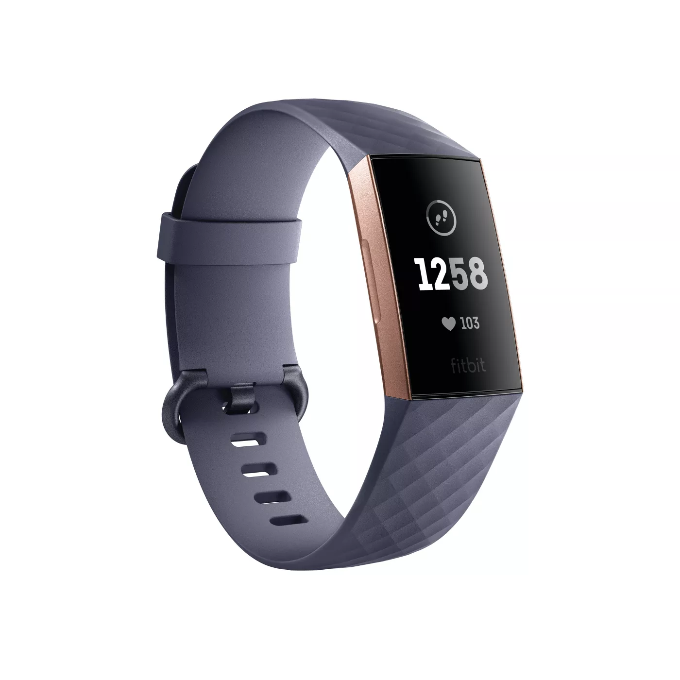 Fitbit Charge 3 Fitness Tracker - image 1 of 6