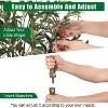 Artificial Olive Tree – 4/5/6/7FT Faux Olive Plant with Realistic Trunk & Fruits - 2 of 4