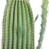 43 Inch Artificial Cactus Plant, Faux Desert Cacti Potted Plant with Flower, Fake Cacti Saguaro for Home Garden Office Indoor Outdoor Decor - 4 of 4