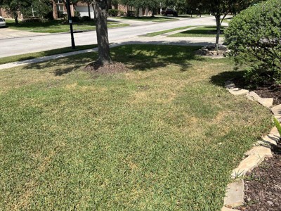 Guest review image 5 of 5, zoom in