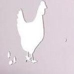 orange 10 holes with legs