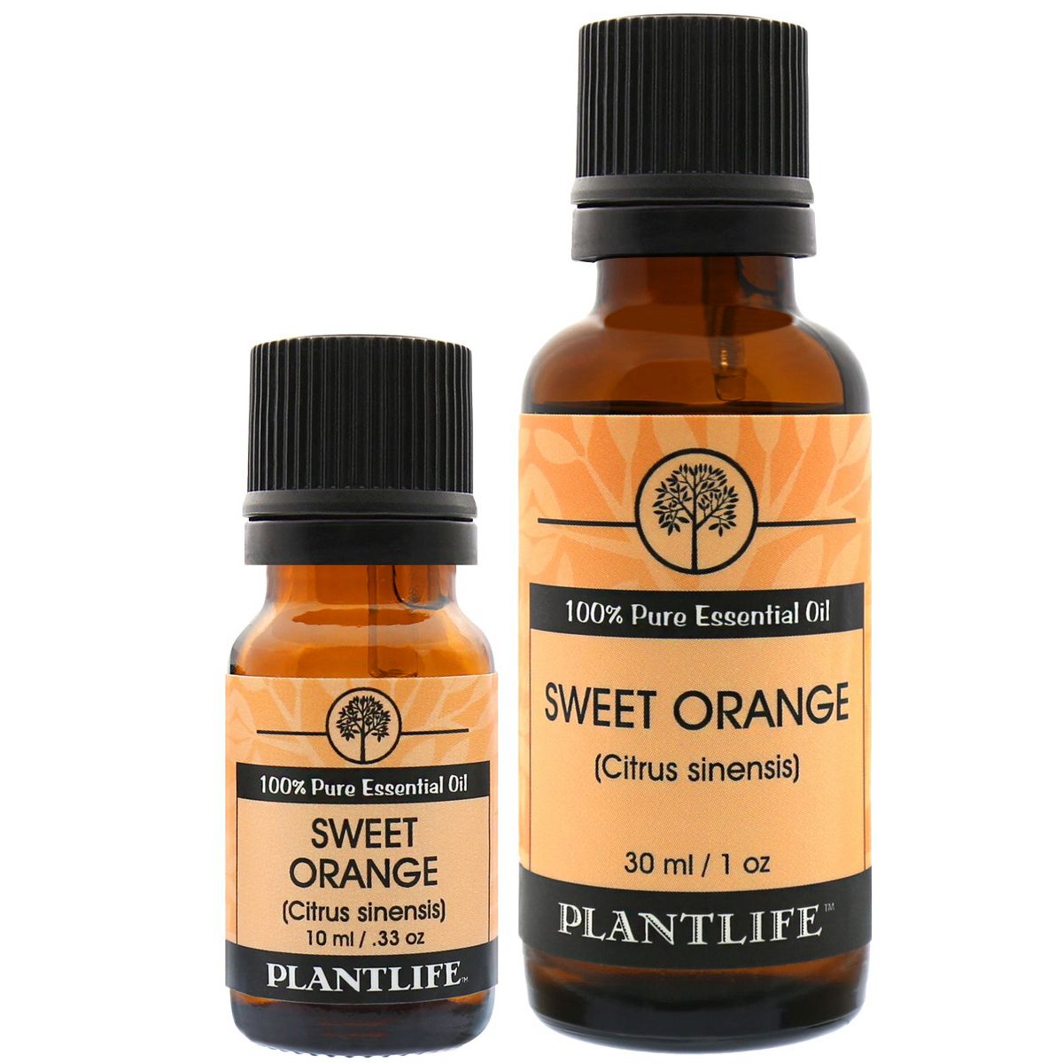 Plantlife Sweet Orange Essential Oil – 100% Pure, Undiluted & Cold Pressed – No Additives – Therapeutic Grade Aromatherapy - thumbnail 5