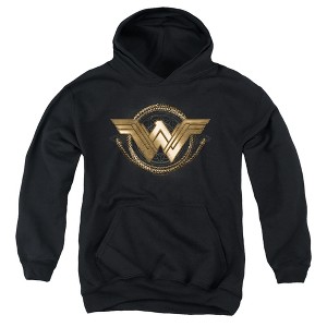 Boys’ Wonder Woman Movie Lasso Logo Hooded Sweatshirt - 1 of 4