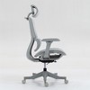 Dolonm Ergonomic Home Office Chair with Adjustable Lumbar & Headrest - Breathable Mesh Back, 4D Armrests, 90°-120° Recline - 4 of 4