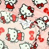 Hello Kitty Bow Surprise Character Hugger Pillow and Fleece Throw Blanket Set Multicolored - 4 of 4