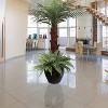 Floral Home 34" Wide Boston Fern with 35 Lifelike Fronds - 6-Piece - 4 of 4