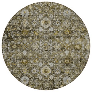 Brown And Beige Oriental Washable Indoor Outdoor Area Rug - 1 of 4