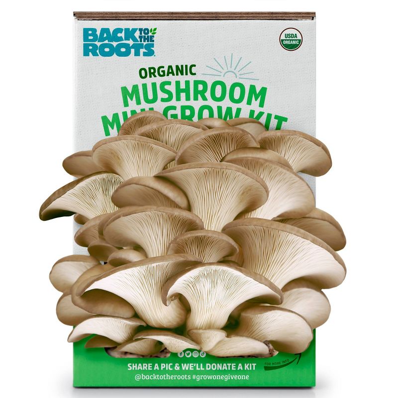 Back to the Roots Organic Mushroom Mini Grow Kit Pearl Oyster, 1 of 12