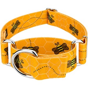 Country Brook Petz 1 1/2 Inch Martingale Dog Collar - Summer Breeze Collection - 1 of 4
