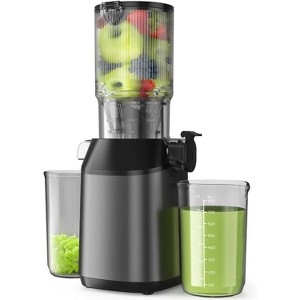 HDZNVF Cold Press Juicer - 1 of 3