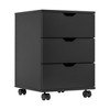 MAYEERTY 3-Drawer Vertical Wood Filing Cabinet - With Casters, Non-Assembled for Home Office (Black) - 4 of 4