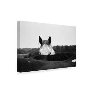 Trademark Fine Art -Aledanda 'Flirt White Horse' Canvas Art - 1 of 3