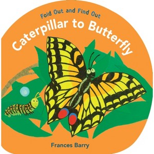 Caterpillar to Butterfly: Fold Out and Find Out - by  Frances Barry (Hardcover) - 1 of 1
