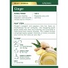 Traditional Medicinals Organic Ginger Herbal Tea - 16ct - image 2 of 4