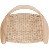 Renga Rope Rattan Accent Chair - ACH1006A - Natural - Safavieh - 4 of 4