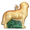 Old World Christmas Glass Blown Christmas Ornament For Christmas Tree, Golden Retriever - 2 of 4