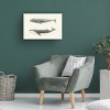 Trademark Fine Art - Charles Melville Scammon  Melville's Whales I Canvas Art - 3 of 4